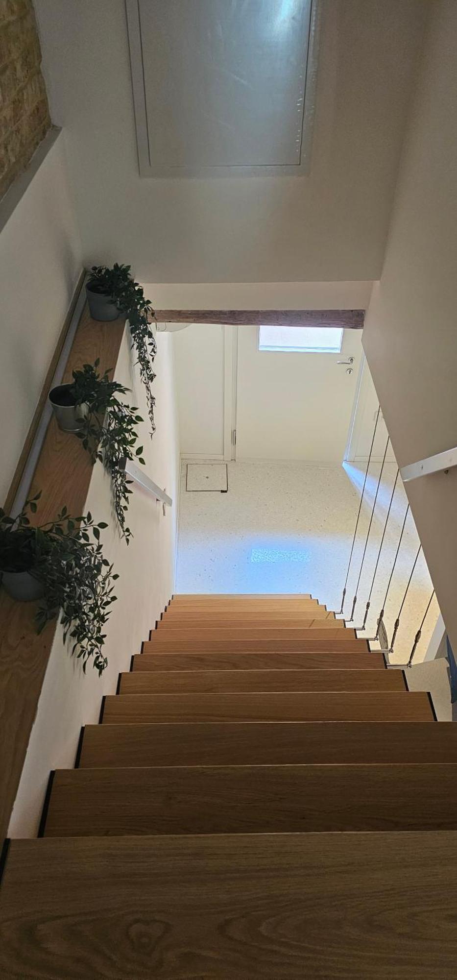 Small Villa With Private Garden البندقية المظهر الخارجي الصورة
