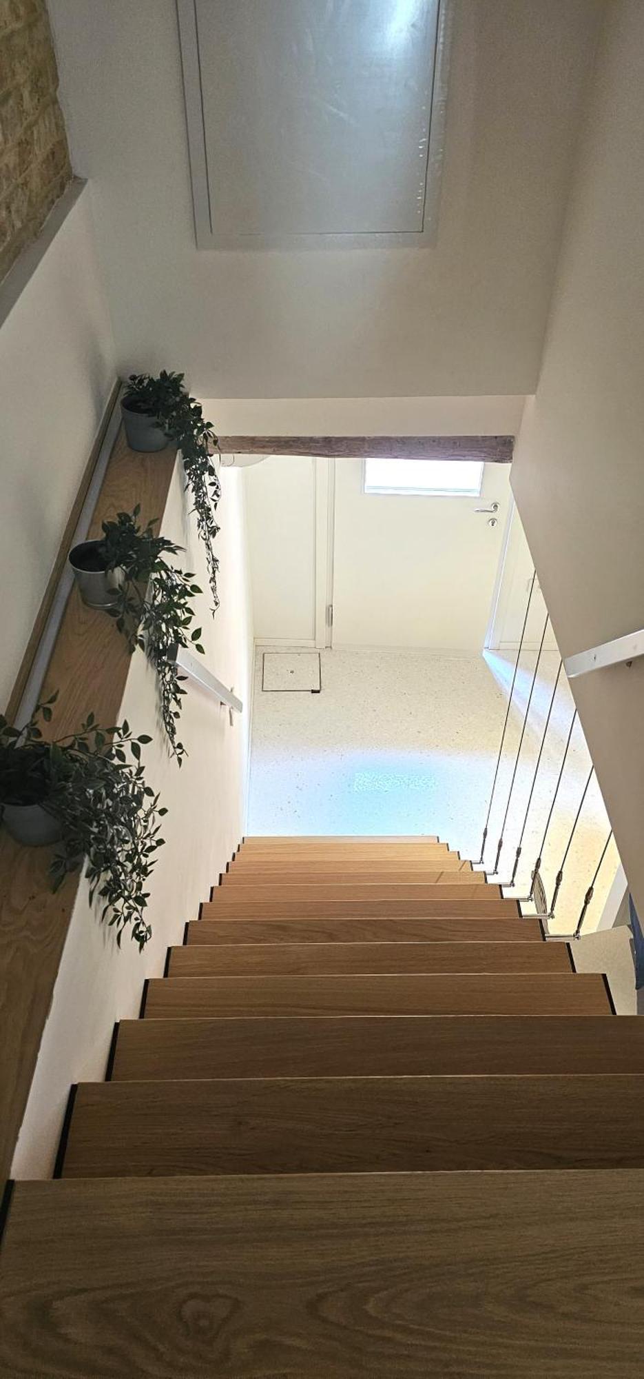 Small Villa With Private Garden البندقية المظهر الخارجي الصورة